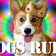 Image for article titled Cats vs. Dogs: We Have A Winner!